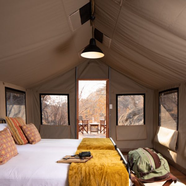 Experience the magic of the African wilderness